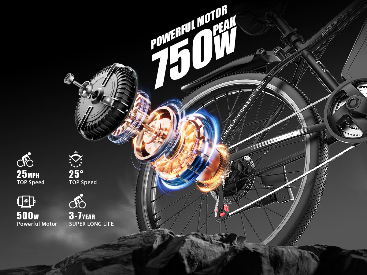 Tourii G26 Black 26-Inch High-Carbon Steel Frame Electric Bike