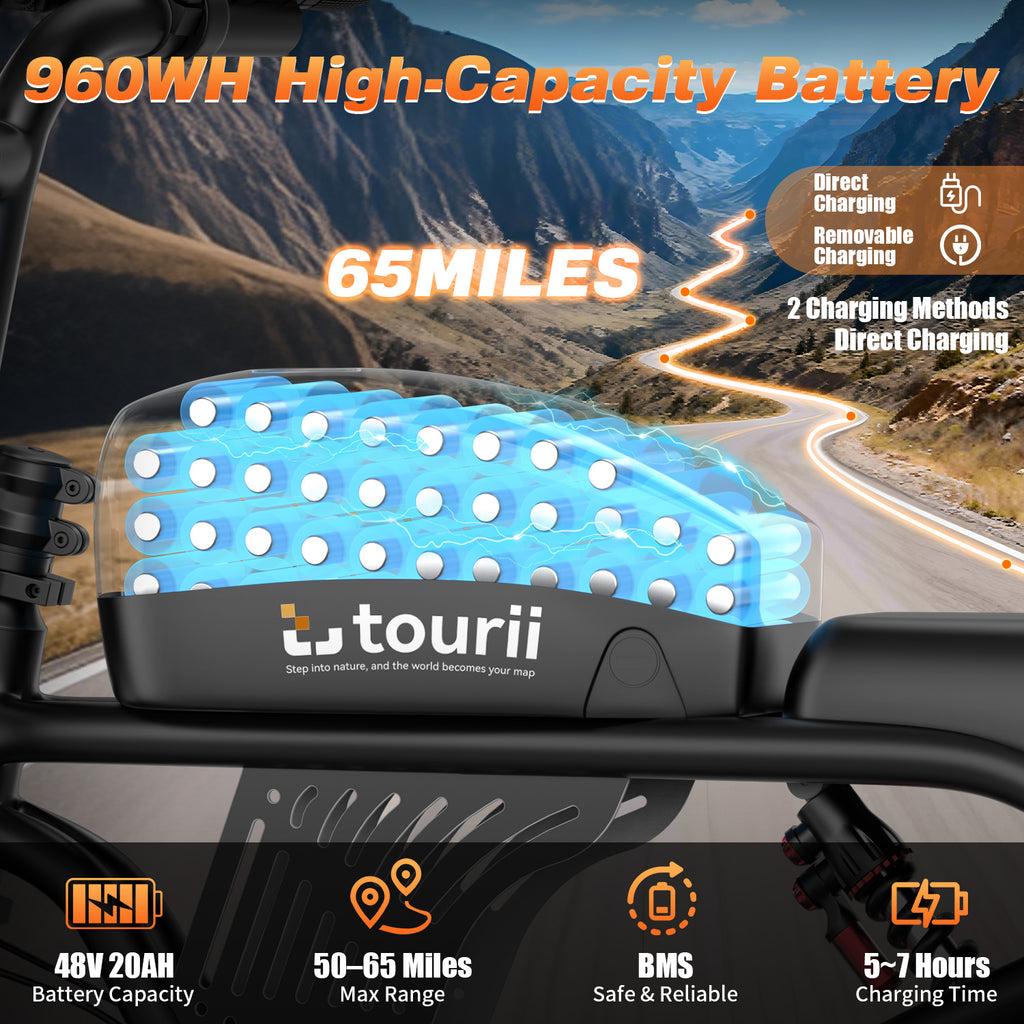 Tourii F30 20 inch adult electric bicycle, peak 1500W, LCD instrument all terrain off-road electric vehicle, suitable for mountains, snow, sand and highways