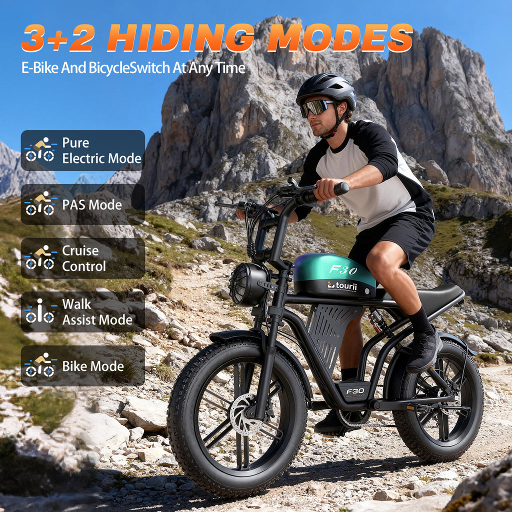 Tourii F30 20 inch adult electric bicycle, peak 1500W, LCD instrument all terrain off-road electric vehicle, suitable for mountains, snow, sand and highways